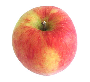 A nice red apple on a white background